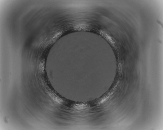 X0000098040065200803281441