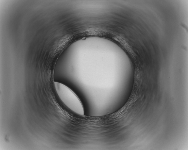 X0000098040066200803281441