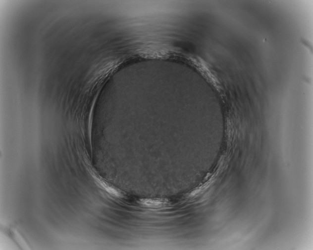X0000098040069200803281441