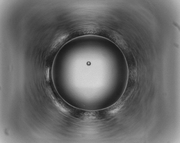 X0000098040070200803281441