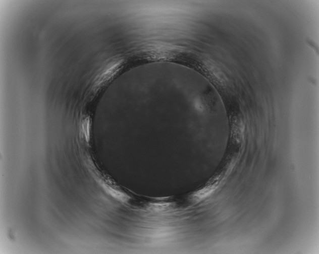 X0000098040076200803281441
