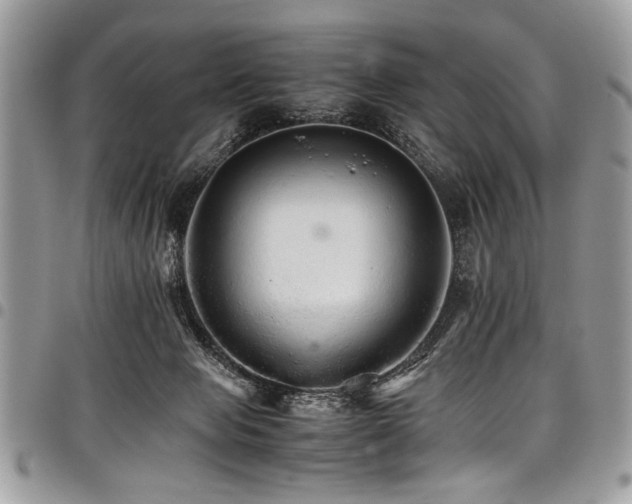 X0000098040077200803281441