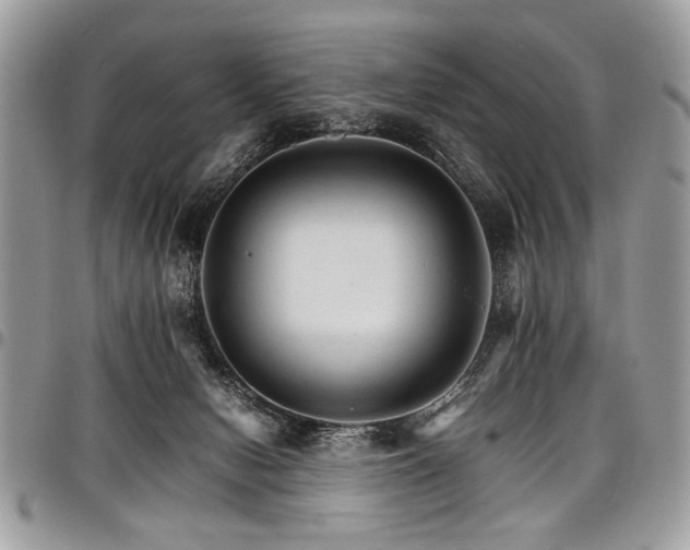X0000098040078200803281441