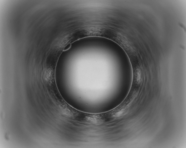 X0000098040079200803281441