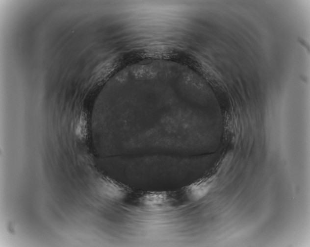 X0000098040080200803281441