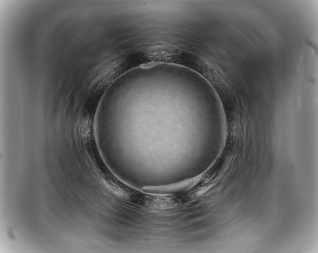 X0000098040081200803281441