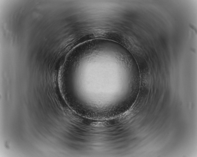 X0000098040082200803281441