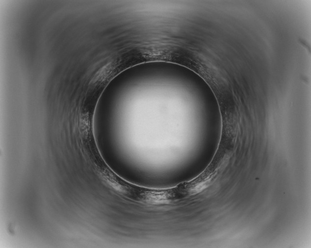 X0000098040085200803281441