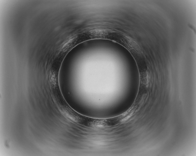X0000098040086200803281441