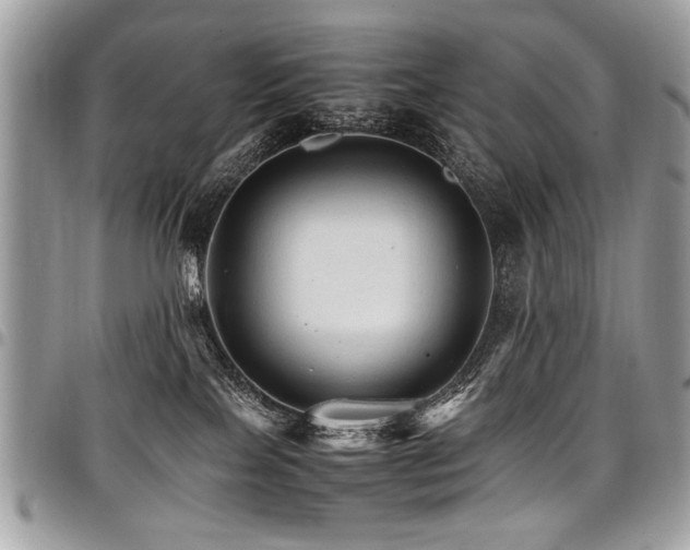 X0000098040089200803281441