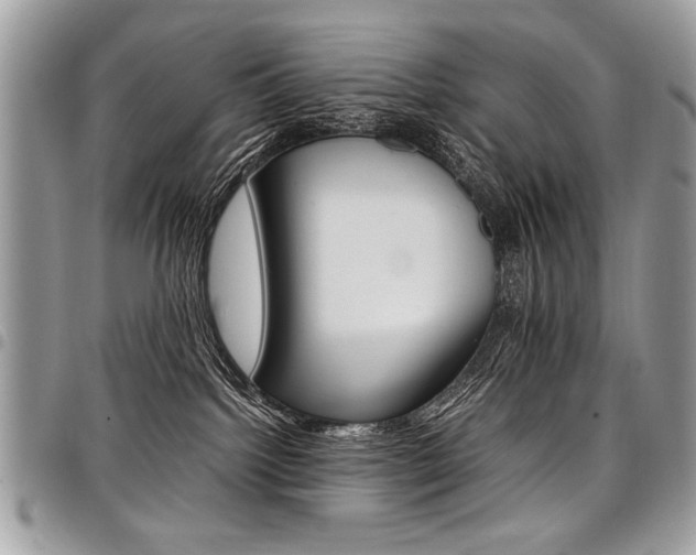 X0000098040092200803281441