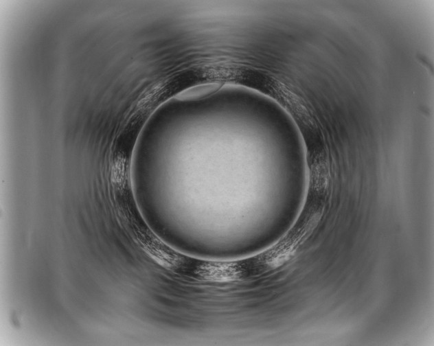 X0000098040093200803281441