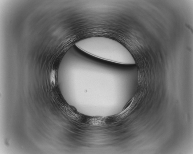 X0000098040094200803281441