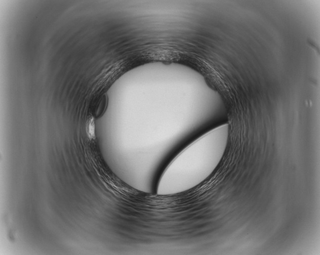 X0000098040095200803281441