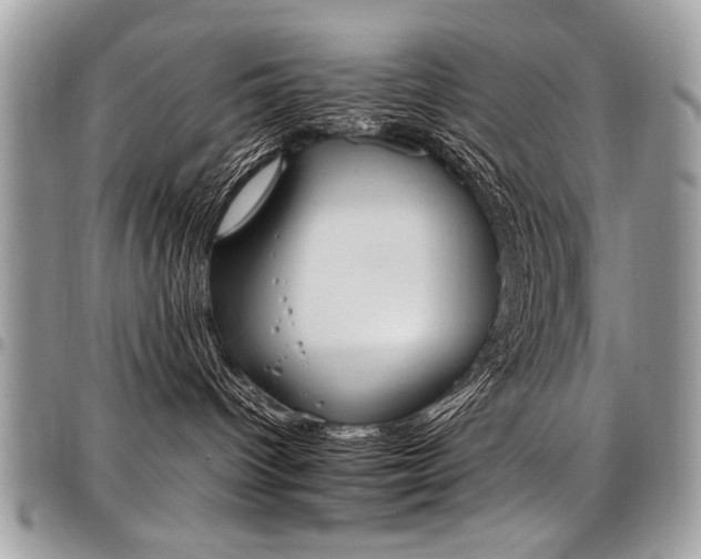 X0000098040096200803281441
