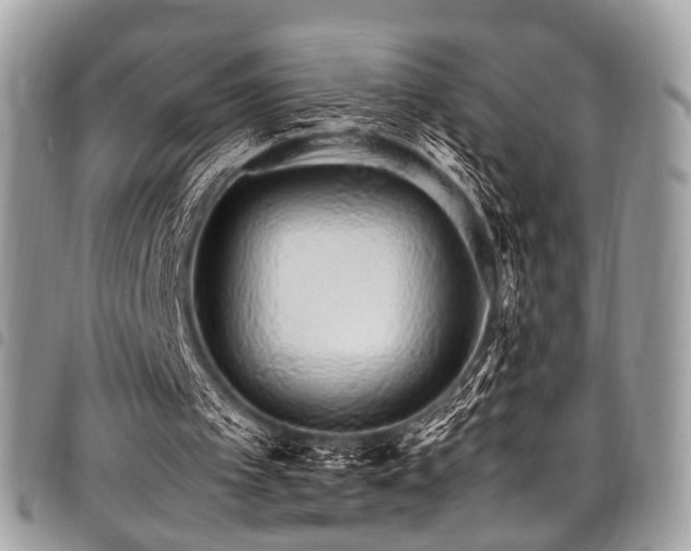X0000098040097200803281441