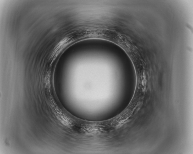 X0000098040098200803281441