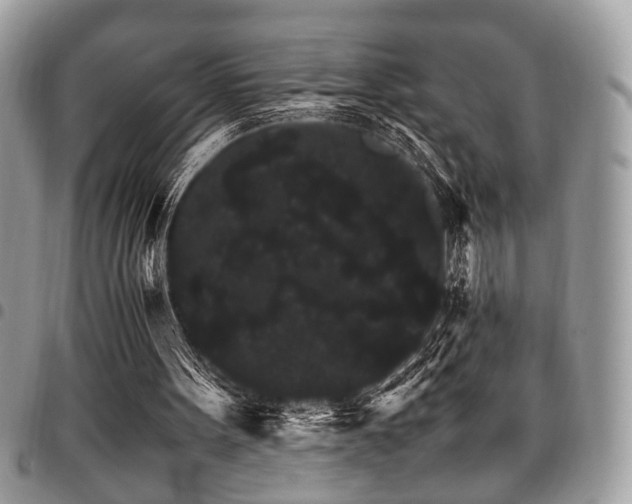 X0000098040099200803281441