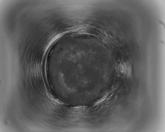 X0000098040100200803281441