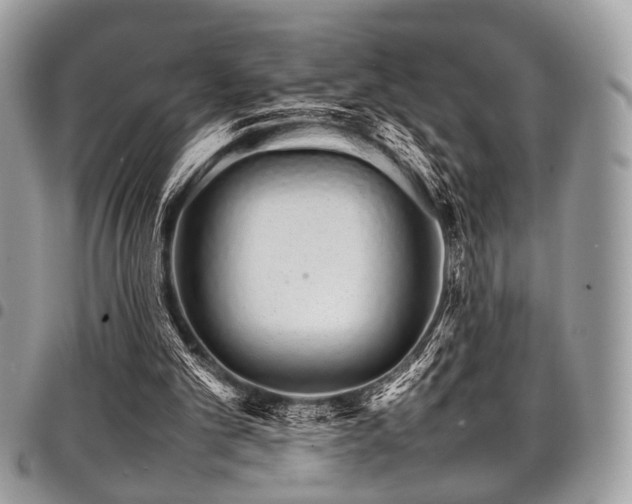 X0000098040101200803281441