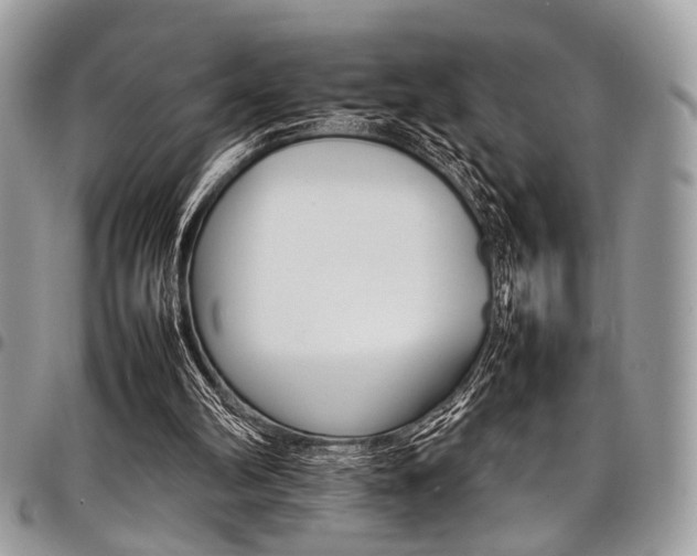 X0000098040102200803281441