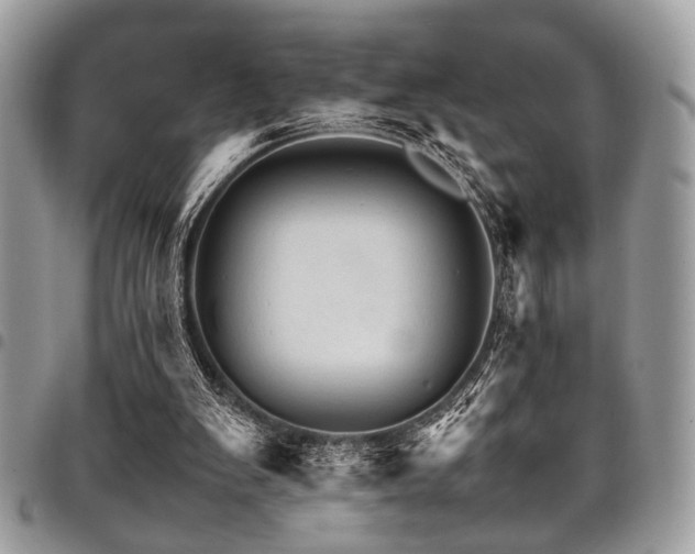 X0000098040103200803281441