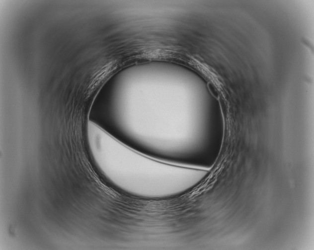 X0000098040105200803281441