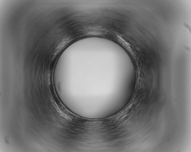 X0000098040106200803281441