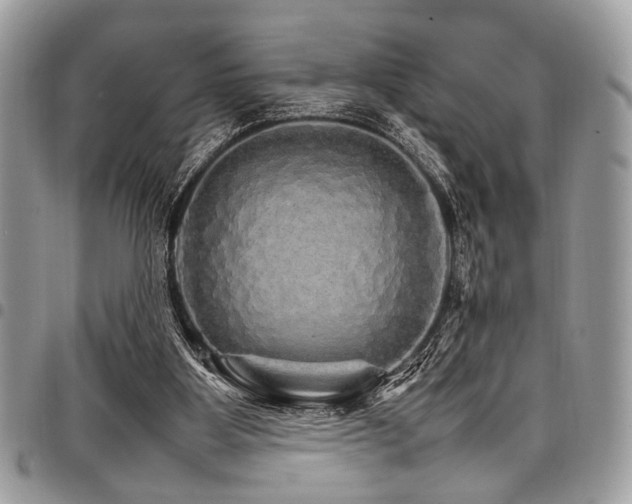 X0000098040107200803281441