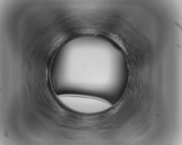 X0000098040109200803281441