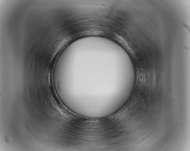 X0000098040110200803281441