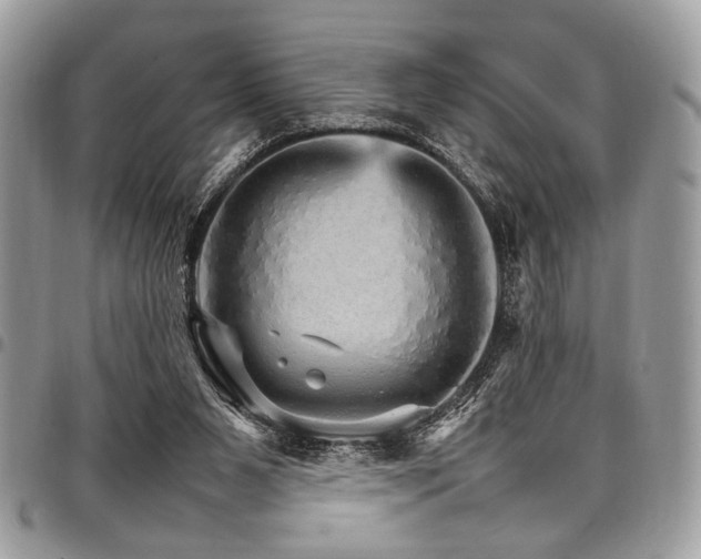 X0000098040111200803281440
