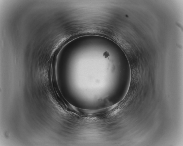 X0000098040112200803281440
