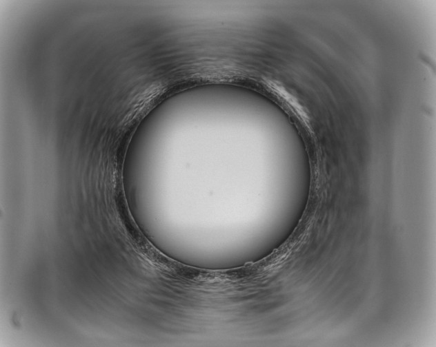 X0000098040113200803281440