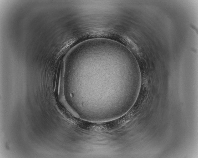 X0000098040115200803281440