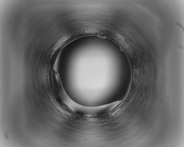 X0000098040116200803281440