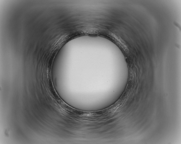 X0000098040117200803281440