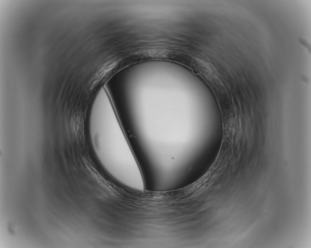 X0000098040120200803281440