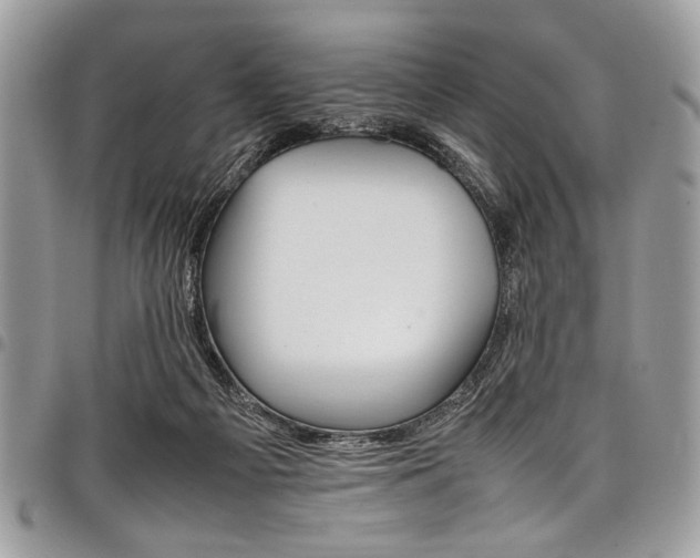 X0000098040121200803281440