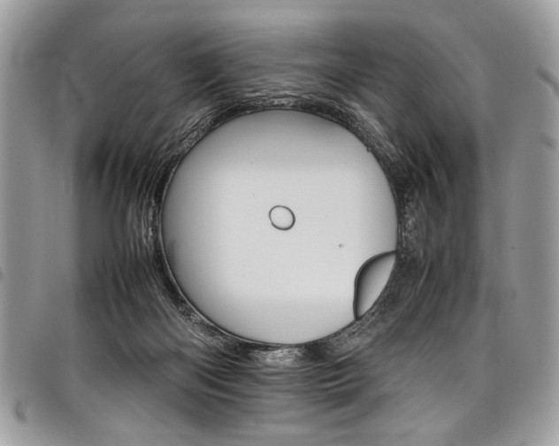 X0000098040122200803281440