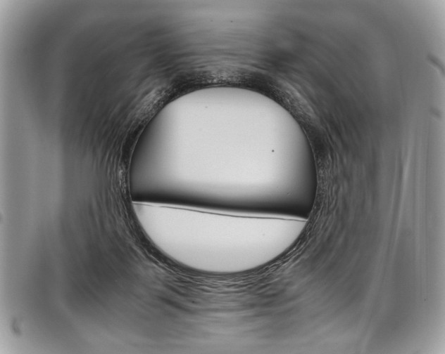 X0000098040123200803281440