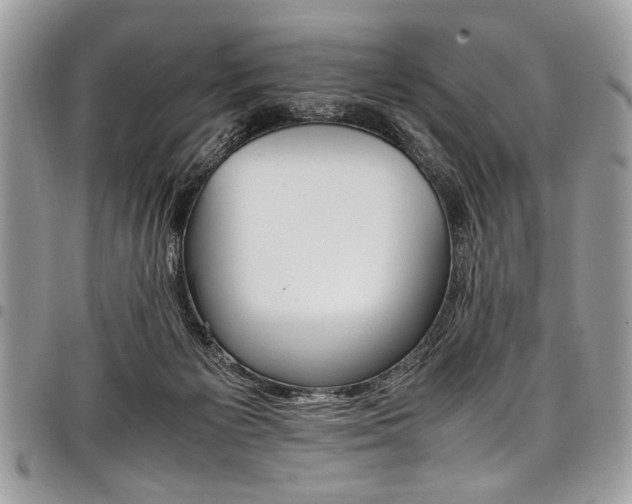 X0000098040125200803281440