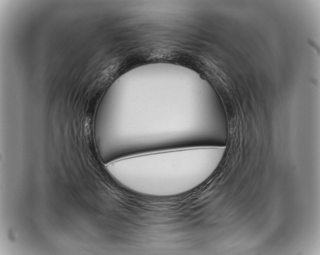 X0000098040127200803281440