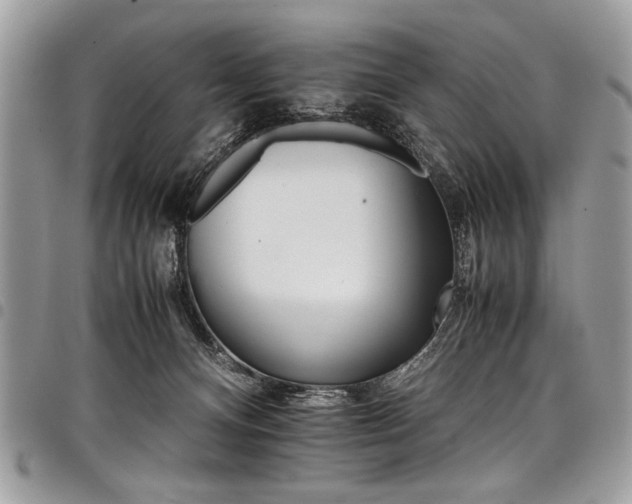 X0000098040128200803281440