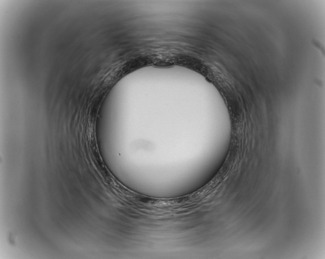 X0000098040129200803281440