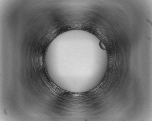X0000098040130200803281440