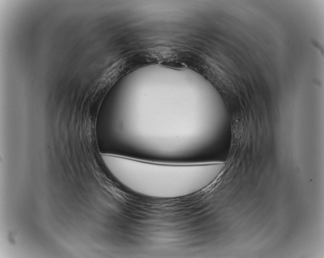 X0000098040132200803281440