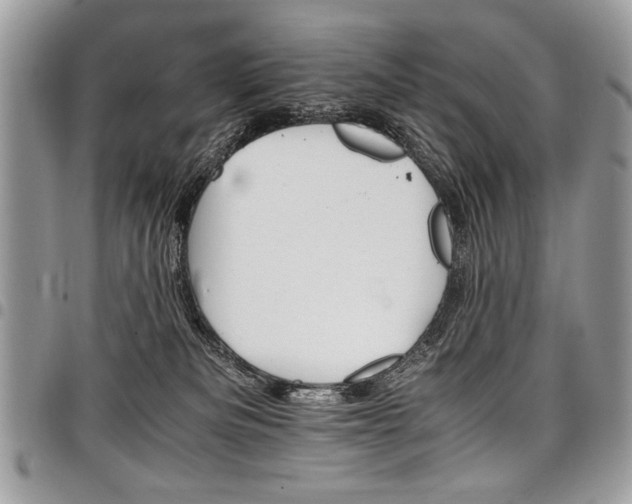 X0000098040133200803281440
