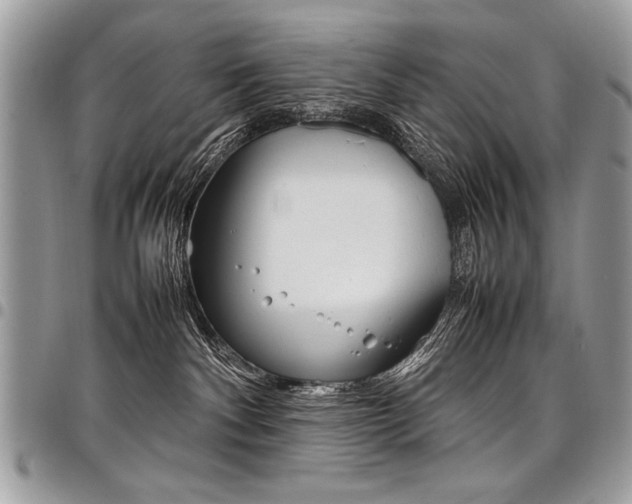 X0000098040140200803281440