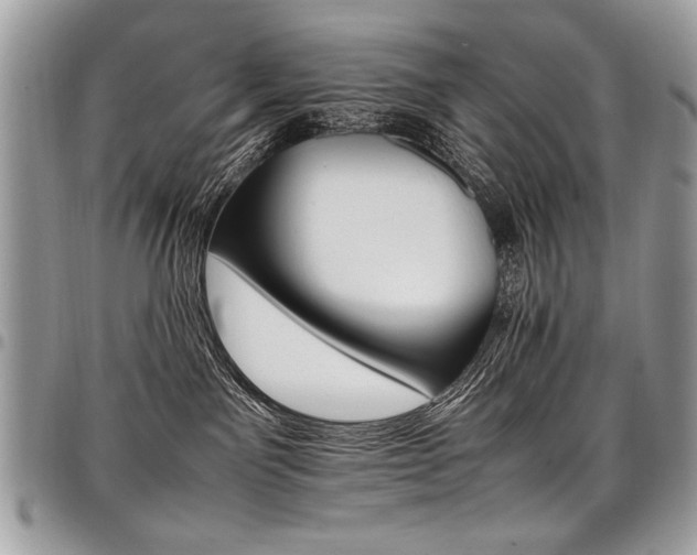 X0000098040141200803281440